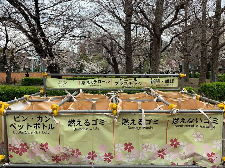 Les fleurs de cerisier du Japon et les poubelles