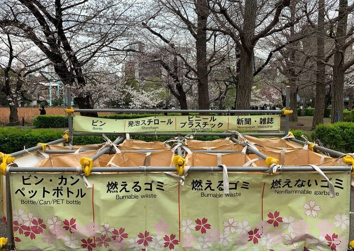Les fleurs de cerisier du Japon et les poubelles