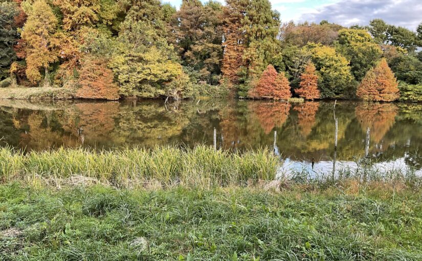 Le parc Mizumoto 水本公園 (Tokyo).