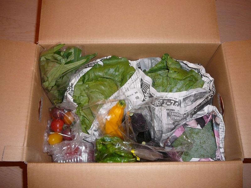 Fichier:Veggie-1.jpg