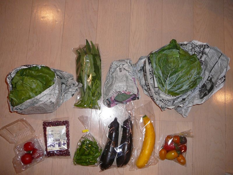 Fichier:Veggie-2.jpg